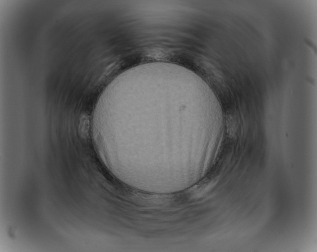 X0000091450036200709131723