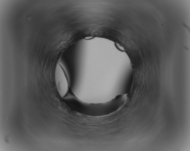 X0000091450039200709131723