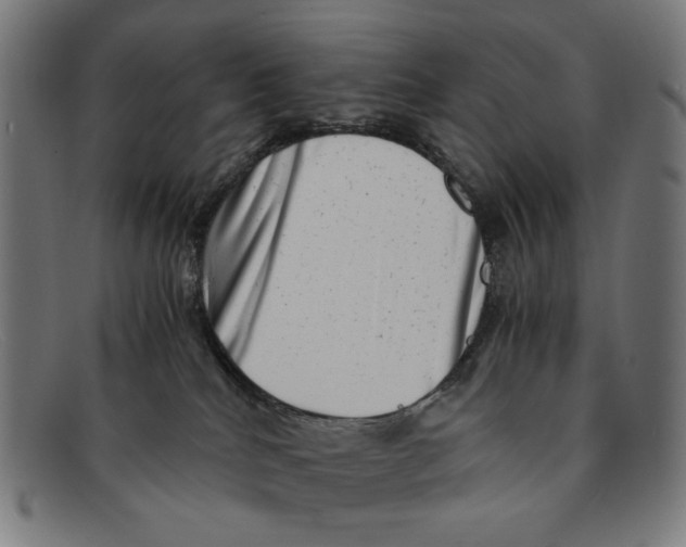 X0000091450040200709131723