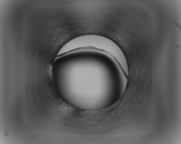 X0000091450041200709131723