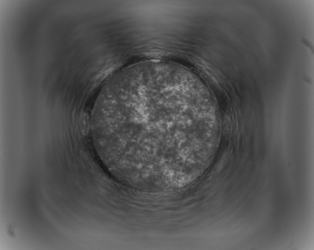 X0000091450043200709131723
