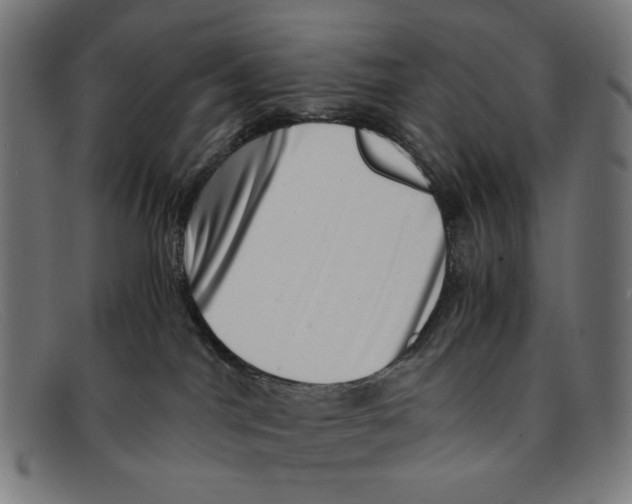 X0000091450044200709131723