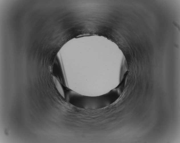 X0000091450045200709131723