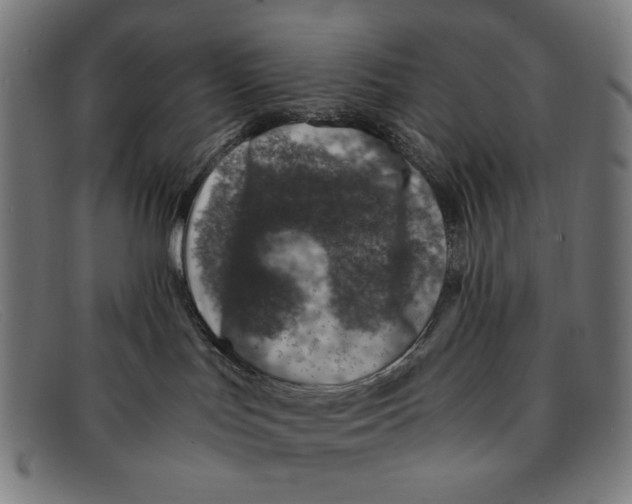X0000091450047200709131723