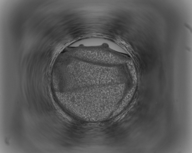 X0000091450049200709131722