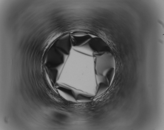 X0000091450050200709131722