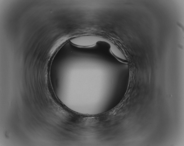 X0000091450054200709131722