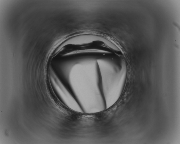 X0000091450055200709131723