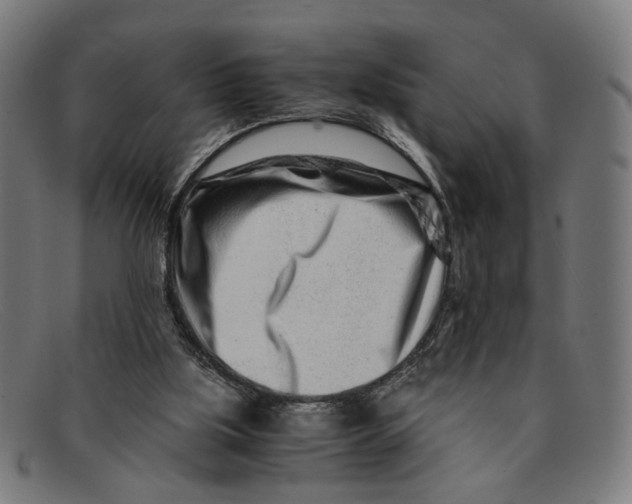 X0000091450059200709131723
