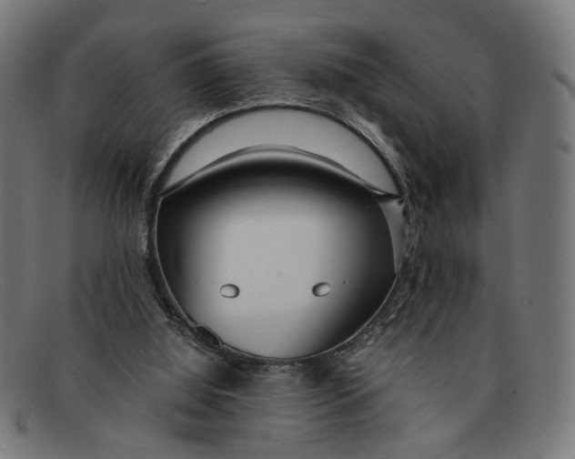 X0000091450060200709131723