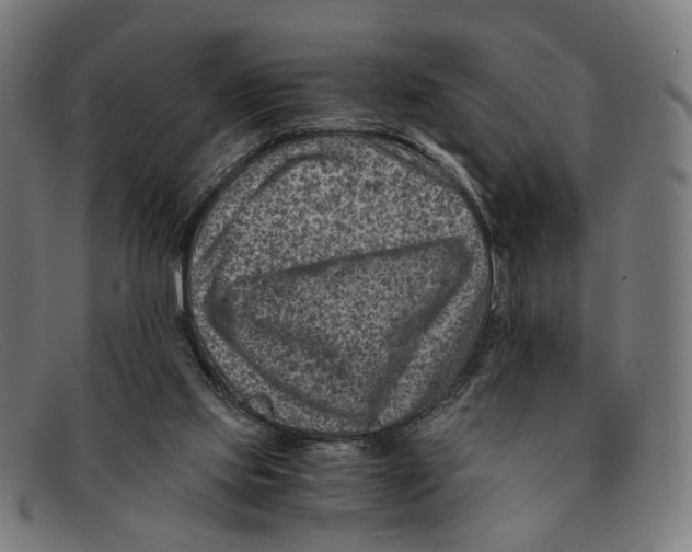 X0000091450061200709131723