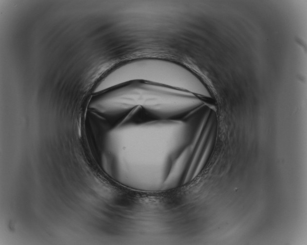 X0000091450062200709131723