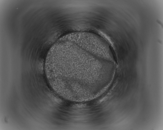 X0000091450065200709131723