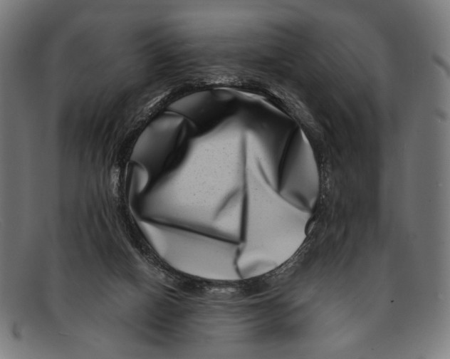 X0000091450066200709131723