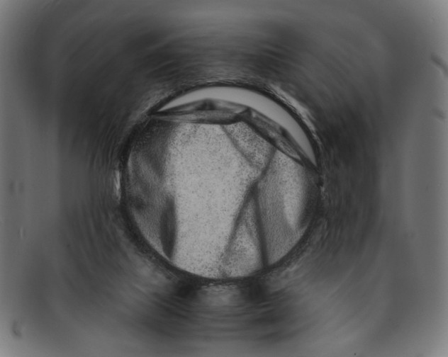X0000091450067200709131723