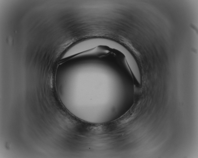 X0000091450068200709131723
