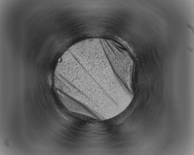 X0000091450069200709131723