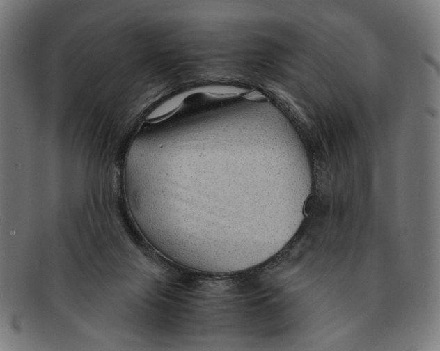 X0000091450071200709131723