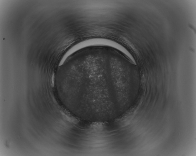 X0000091450076200709131723