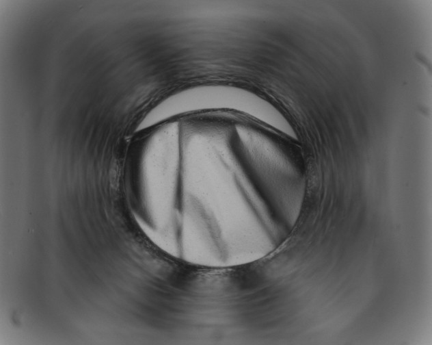 X0000091450078200709131723