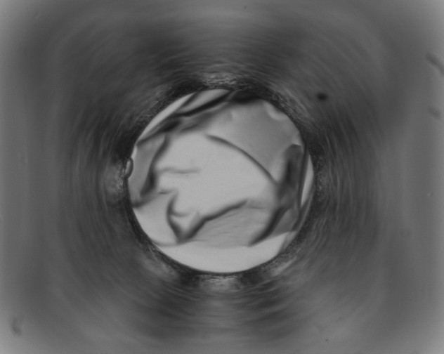 X0000091450081200709131723