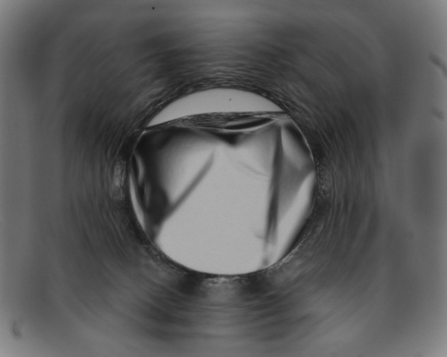 X0000091450082200709131723