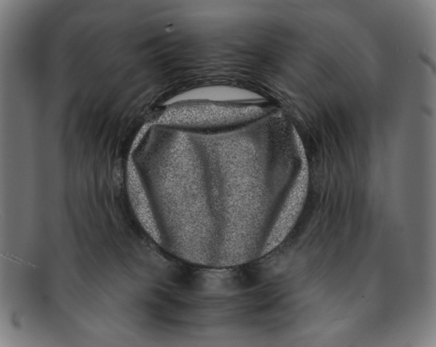 X0000091450085200709131723