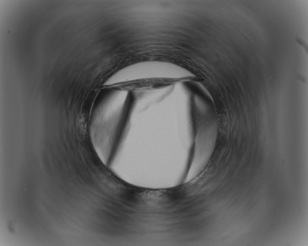 X0000091450086200709131723