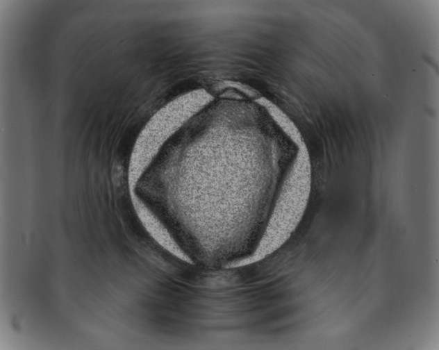 X0000091450087200709131723
