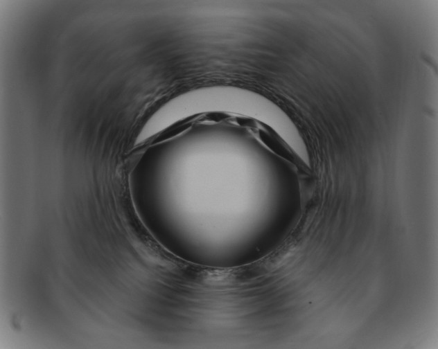 X0000091450088200709131723