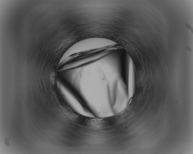 X0000091450090200709131723