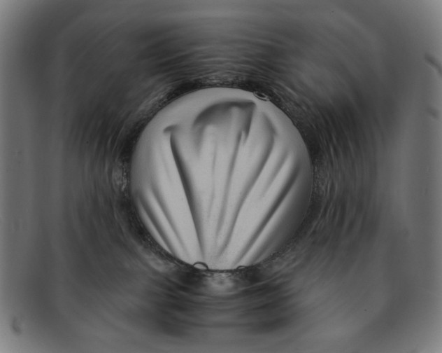 X0000091450091200709131723