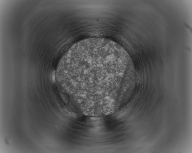 X0000091450095200709131723