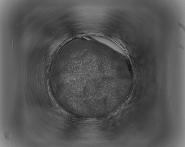 X0000091450097200709131722