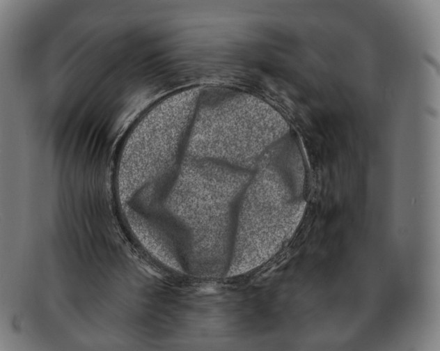 X0000091450098200709131722