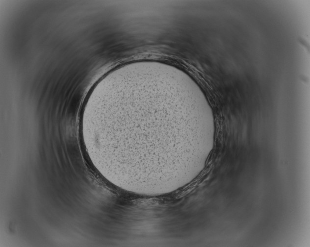 X0000091450100200709131722