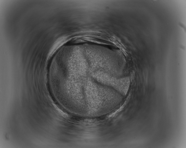 X0000091450101200709131722
