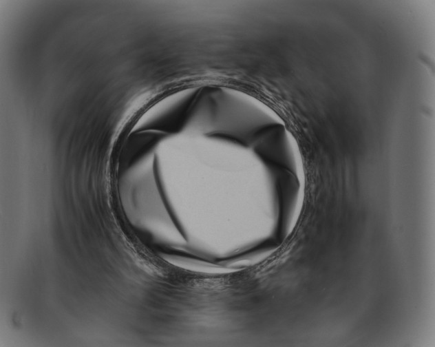 X0000091450102200709131722