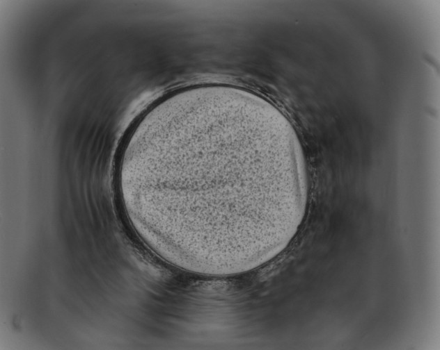 X0000091450104200709131722