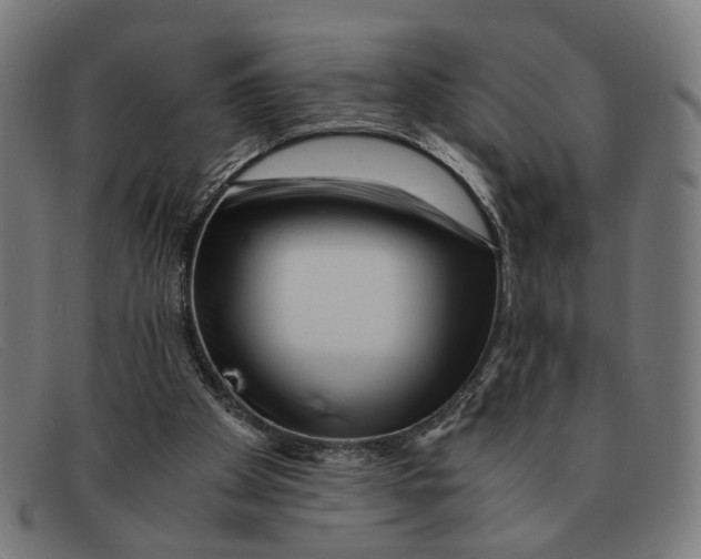 X0000091450105200709131722
