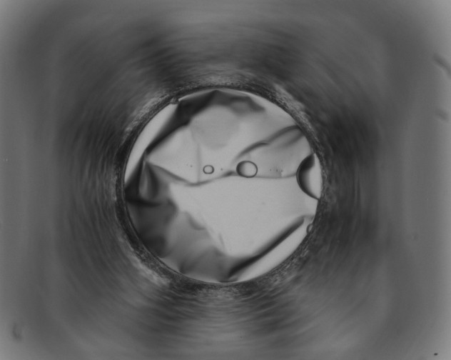 X0000091450106200709131722