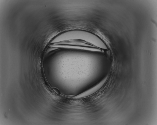 X0000091450107200709131722