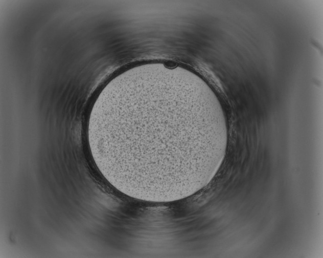 X0000091450108200709131722