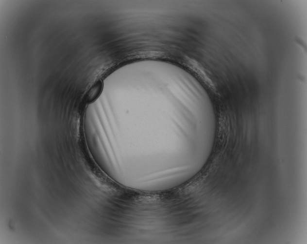 X0000091450110200709131722