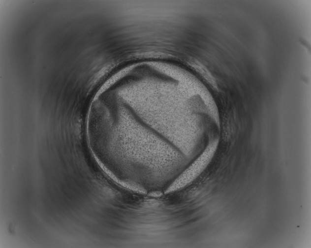 X0000091450111200709131722