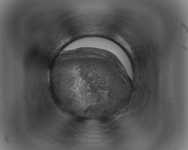 X0000091450115200709131722