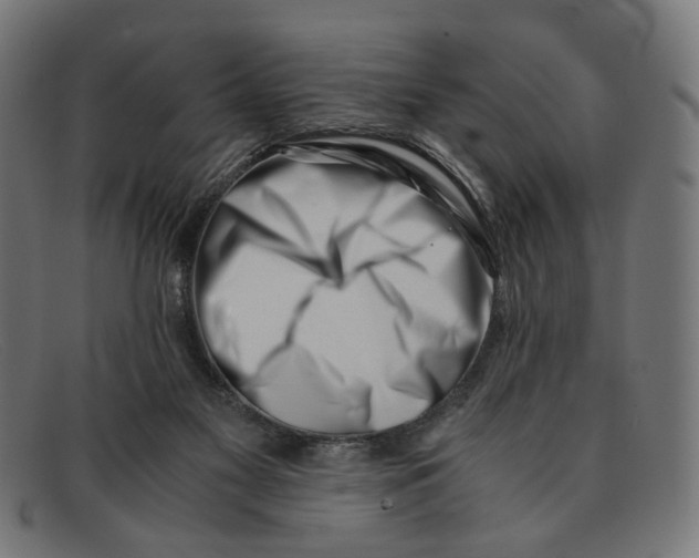 X0000091450117200709131722