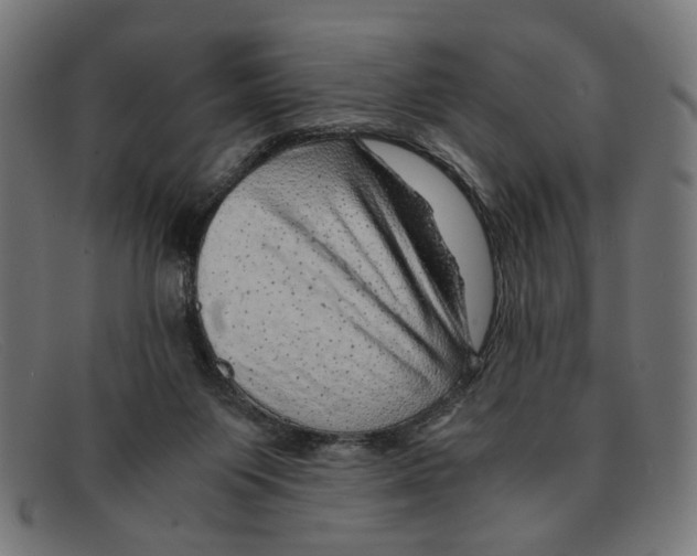 X0000091450119200709131722
