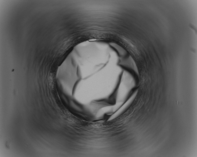 X0000091450121200709131722
