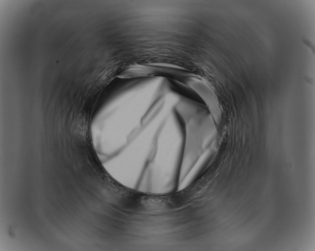 X0000091450129200709131722
